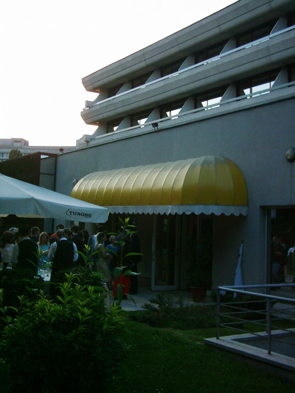 crown3.JPG