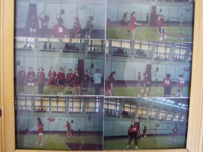 volei3.jpg