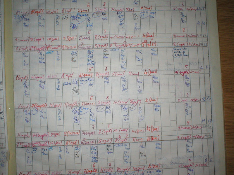 P1010093.JPG