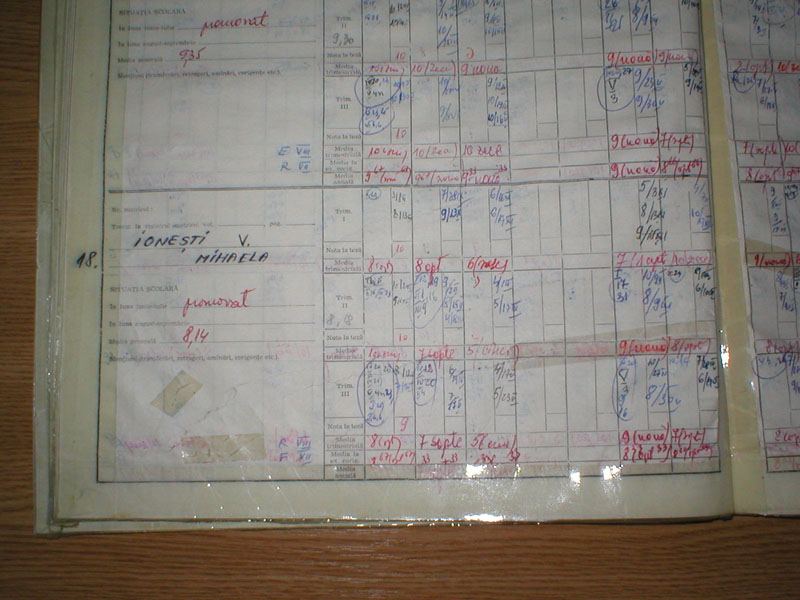 P1010094.JPG