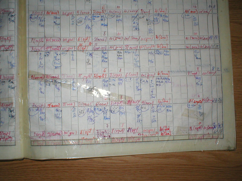 P1010095.JPG