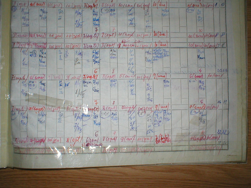 P1010099.JPG