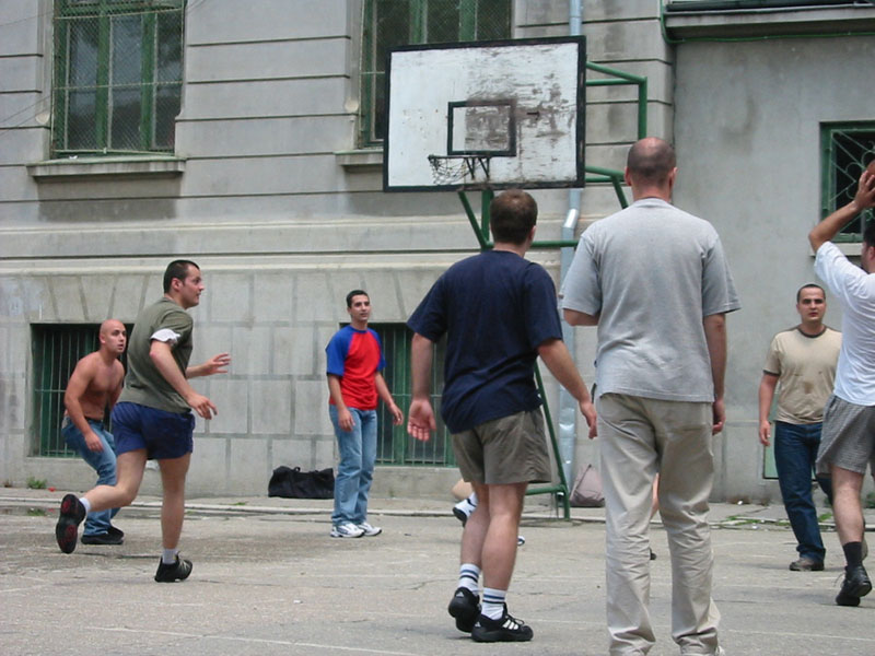 181-8108_IMG.JPG