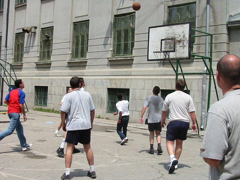 181-8176_IMG.JPG