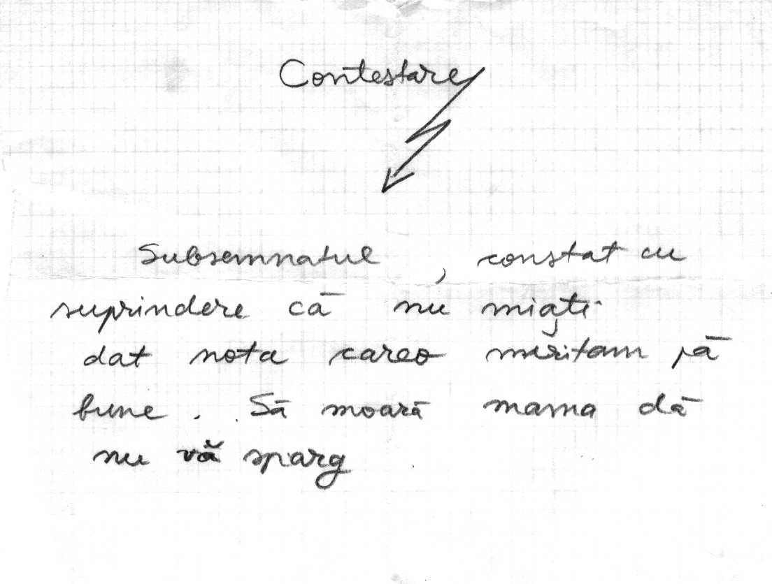 Contestare_a_la_Mishu_Saddam.jpg